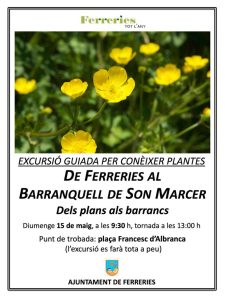 Excursió plantes Ferreries 2022